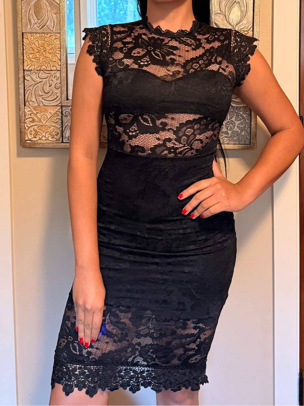 Black Lace Bodycon Dress